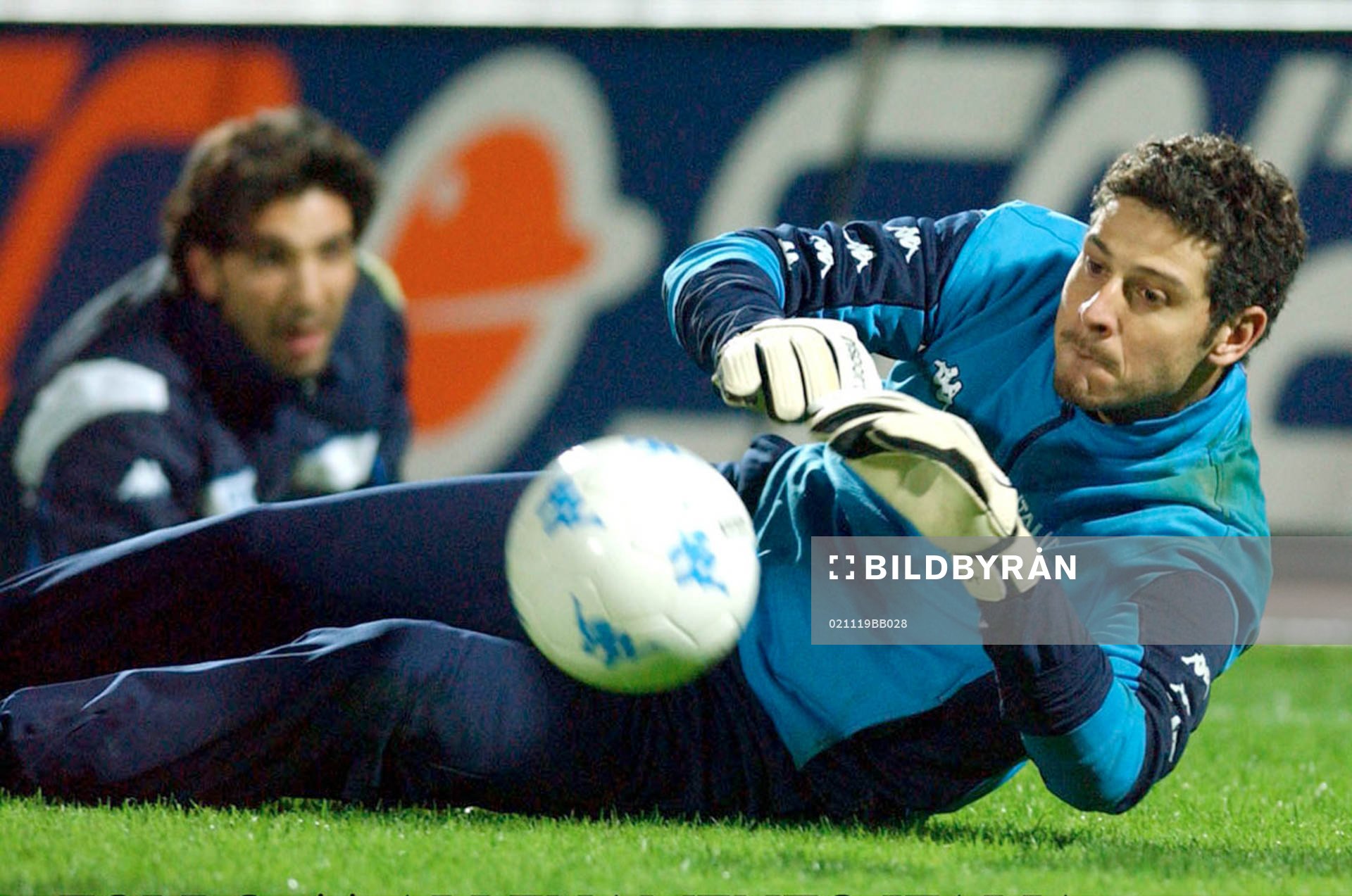Toldo
