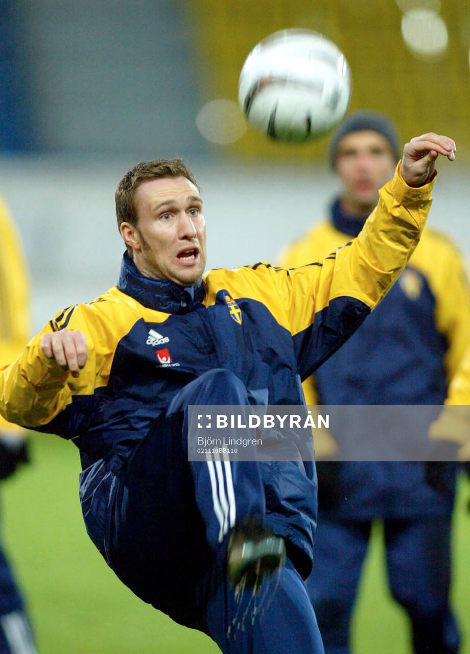 Niklas Skoog, Sverige