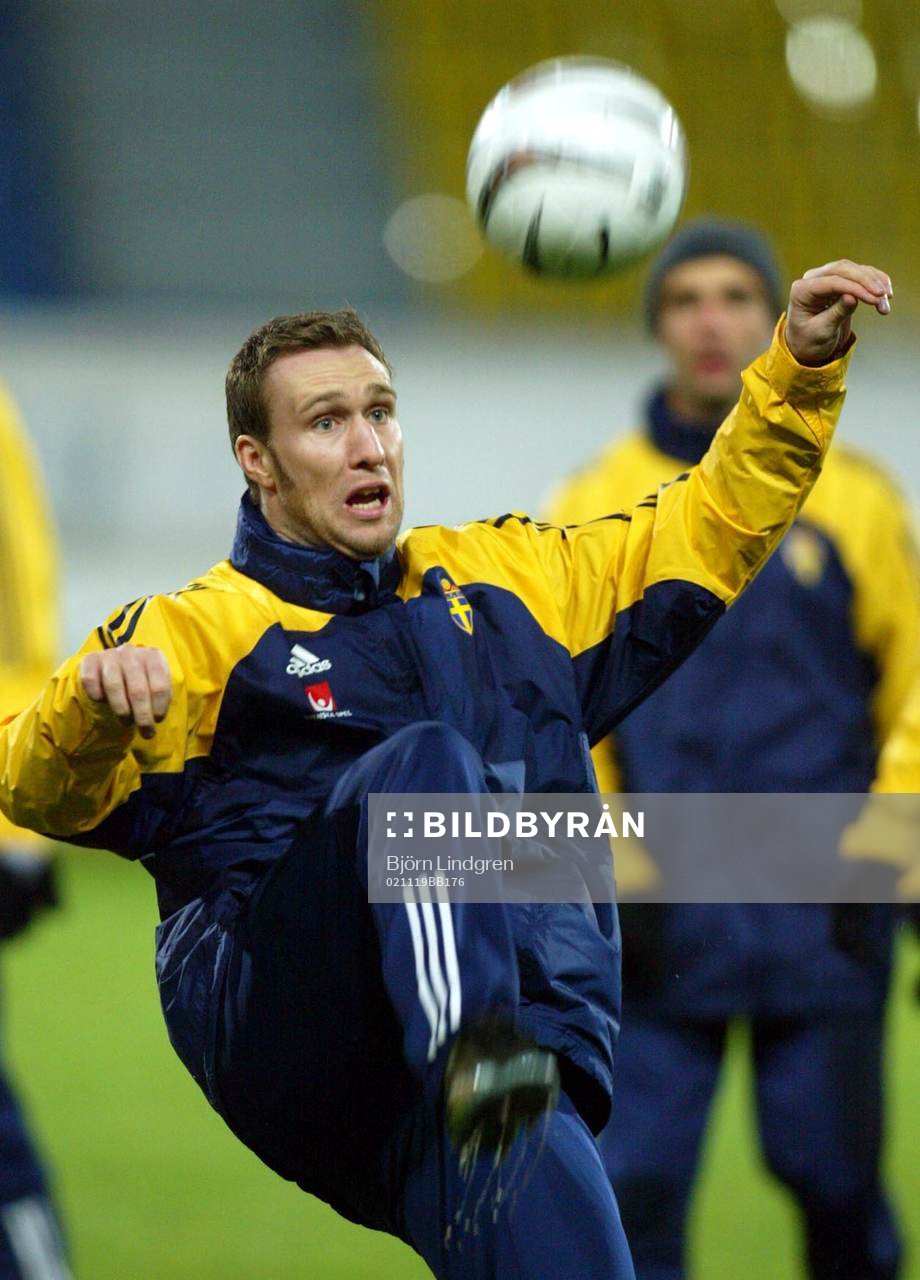 Niklas Skoog, Sverige