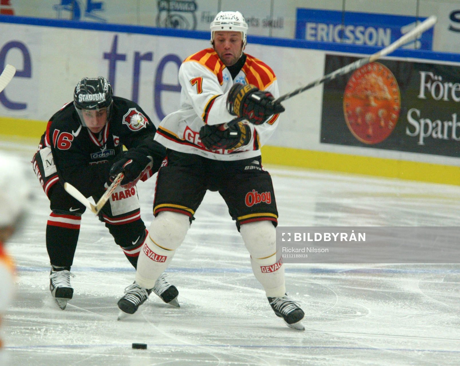 Franz Nielsen, Malmö och Tommy Sjödin, Brynäs
