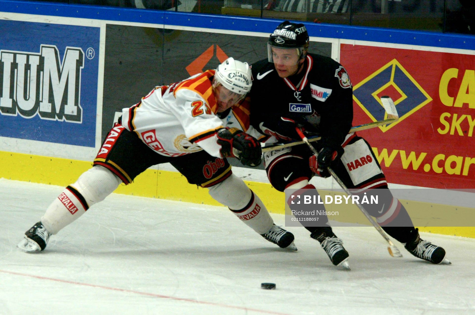 Daniel Rydmark, Malmö och Björn Danielsson, Brynäs