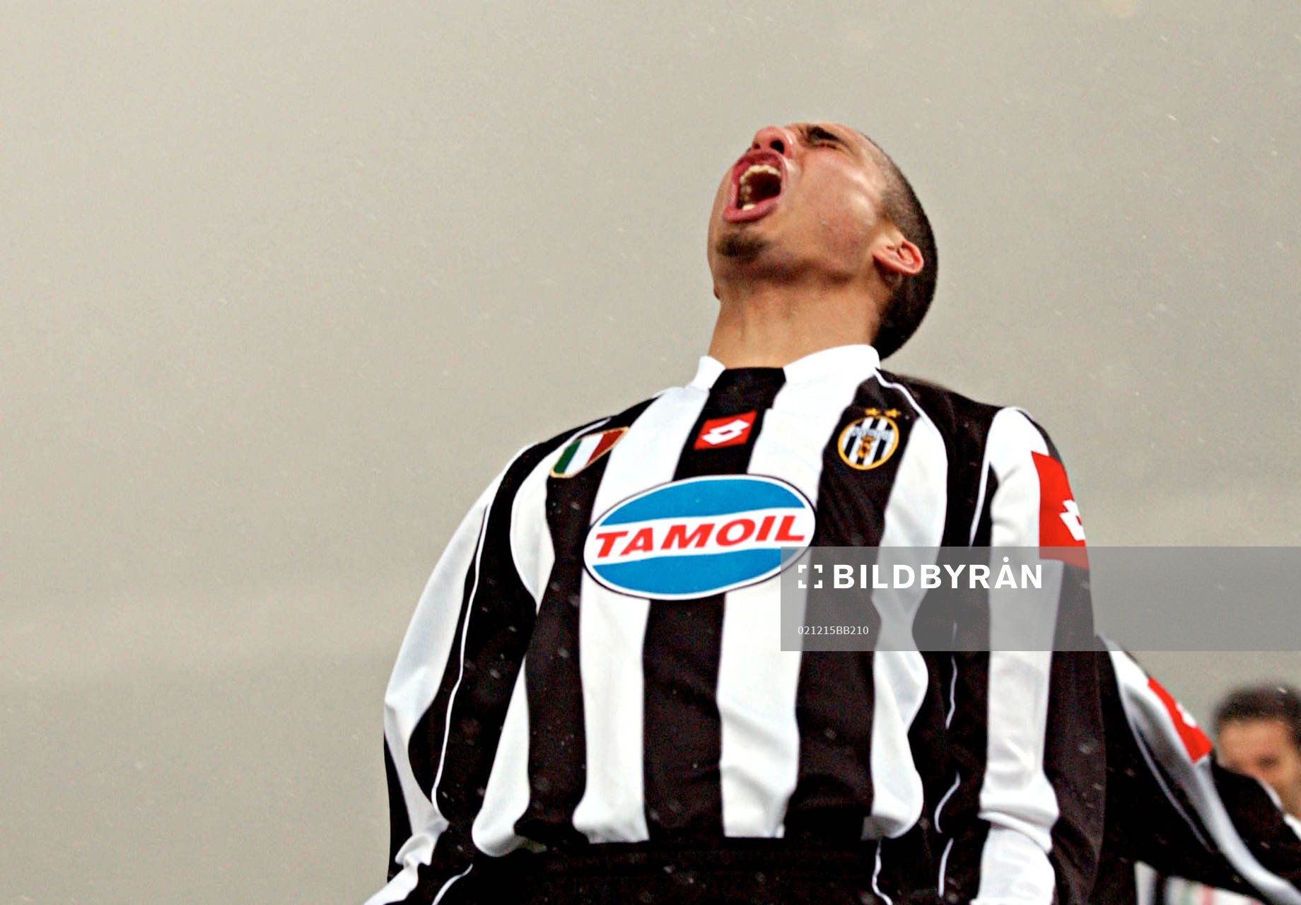 Trezeguet, Juventus, jubel