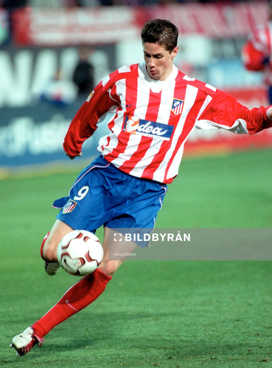 Fernando Torres, Atletico Madrid