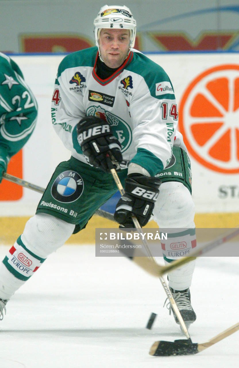 Roger Hansson, Rögle