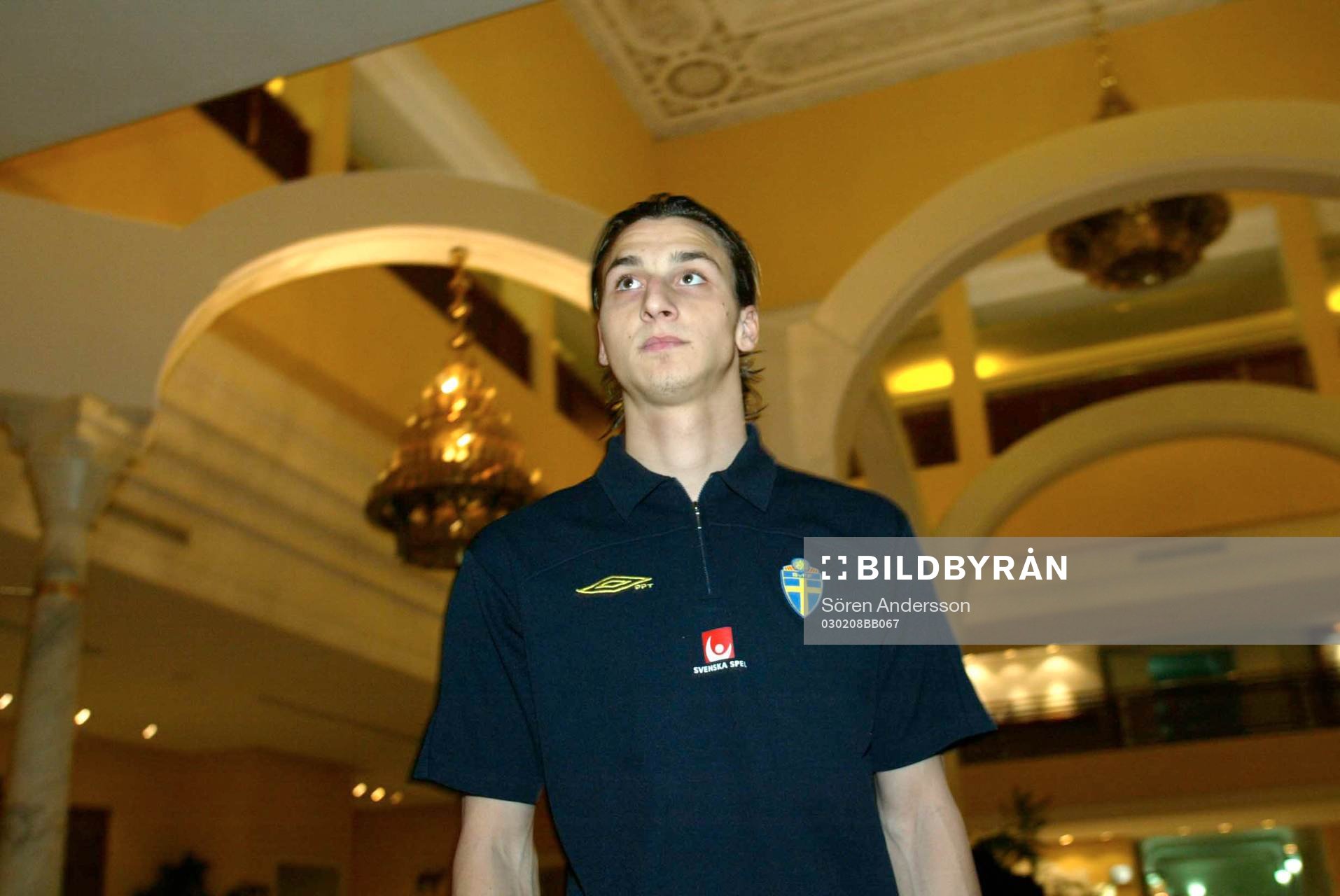 Zlatan Ibrahimovic, Sverige