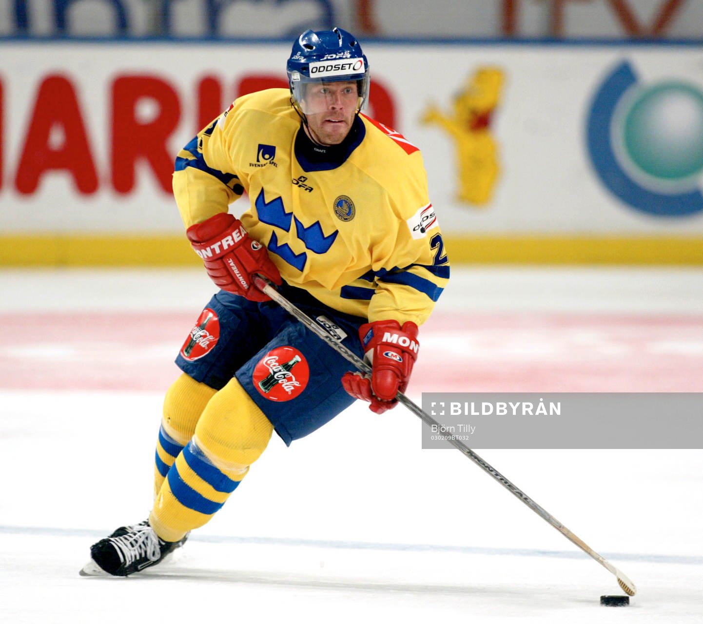 Martin Lindman, Sverige