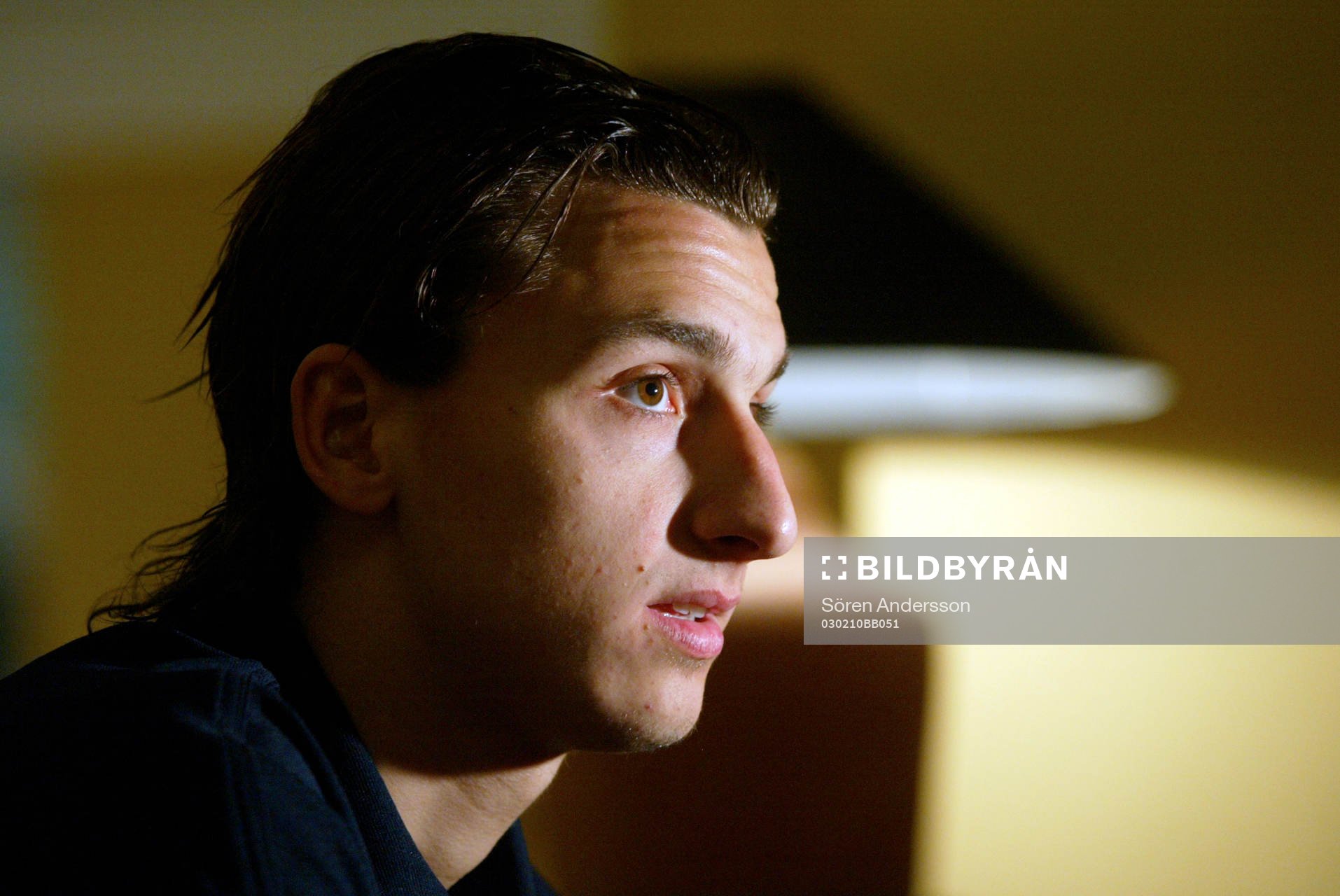Zlatan Ibrahimovic, Sverige