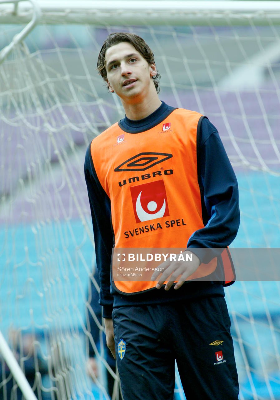 Zlatan Ibrahimovic, Sverige