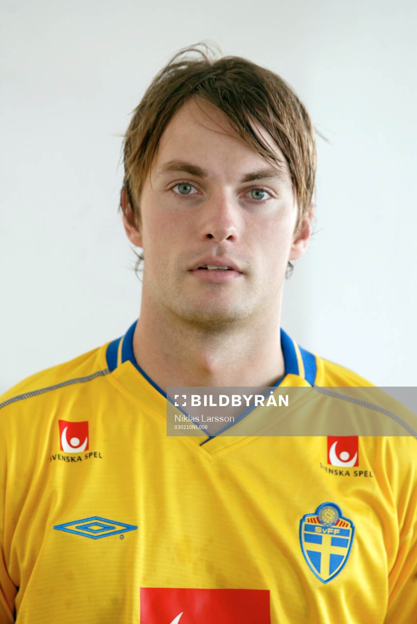 Markus Johannesson, Sverige