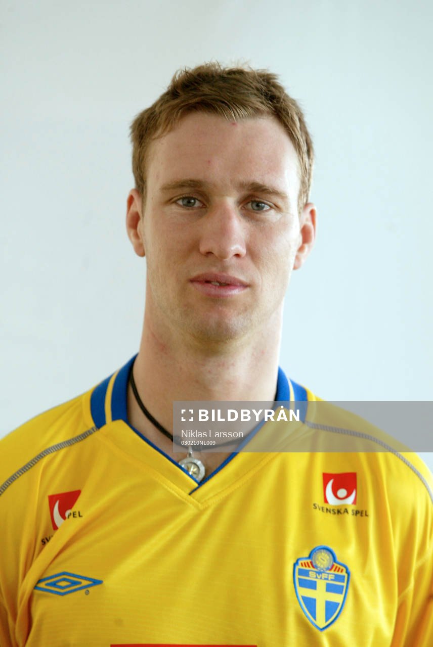 Niklas Skoog, Sverige
