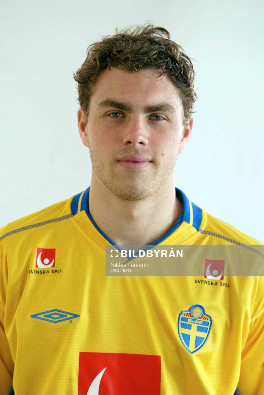 Johan Elmander, Sverige
