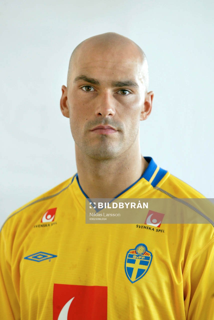 Daniel Majstorovic, Sverige