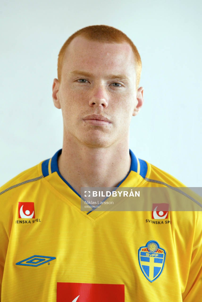 Alexander Farnerud, Sverige