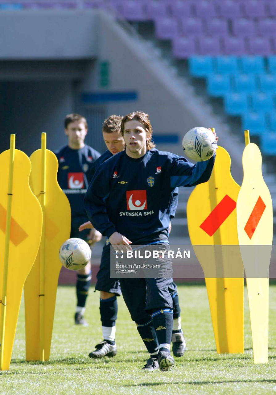 Anders Svensson, Sverige