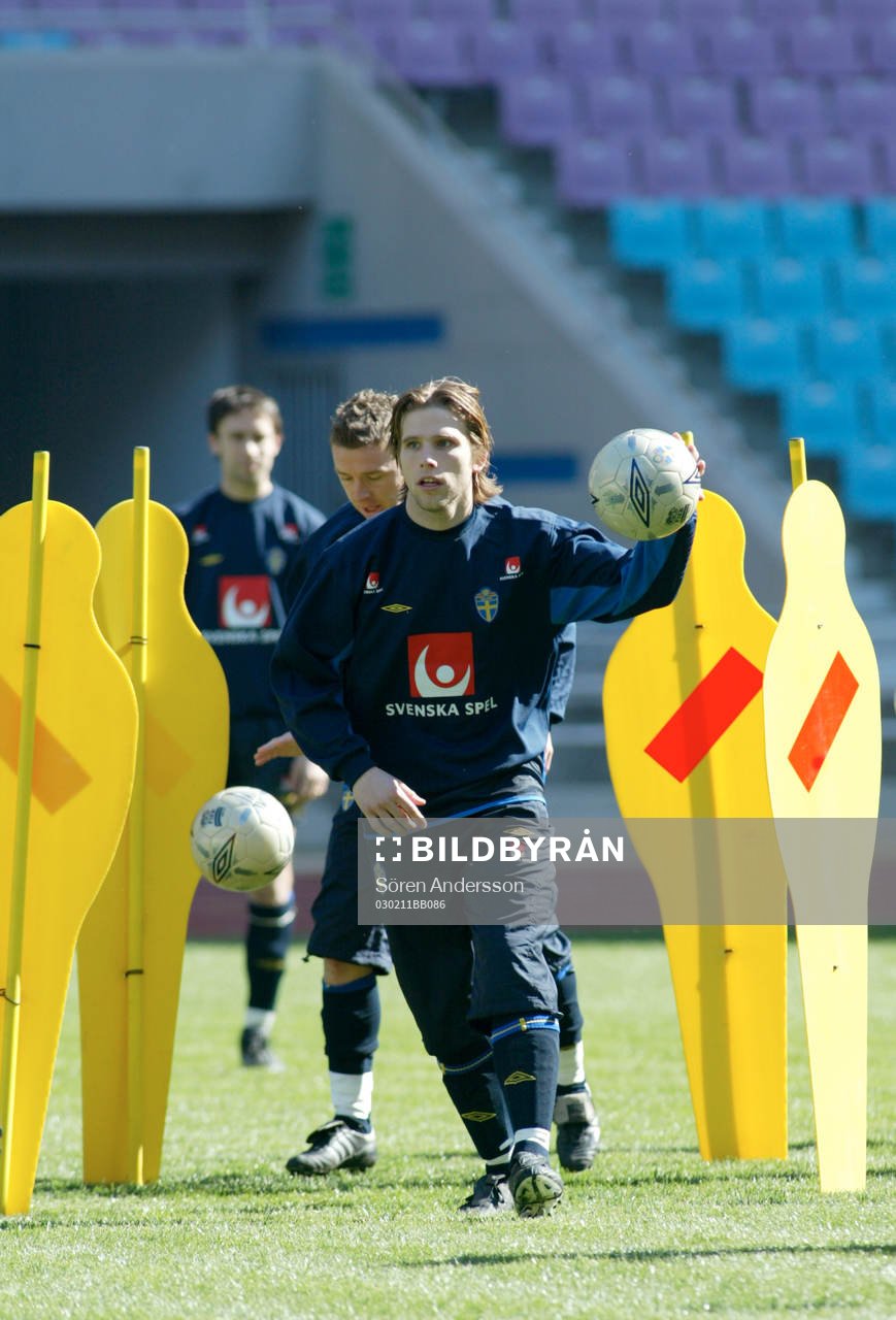 Anders Svensson, Sverige