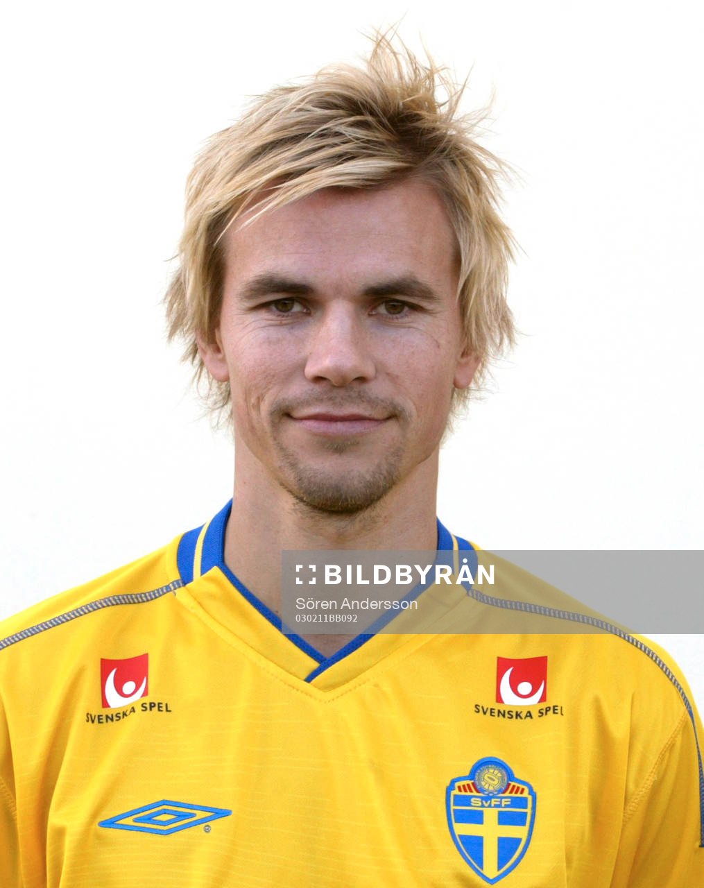 Niclas Alexandersson, Sverige
