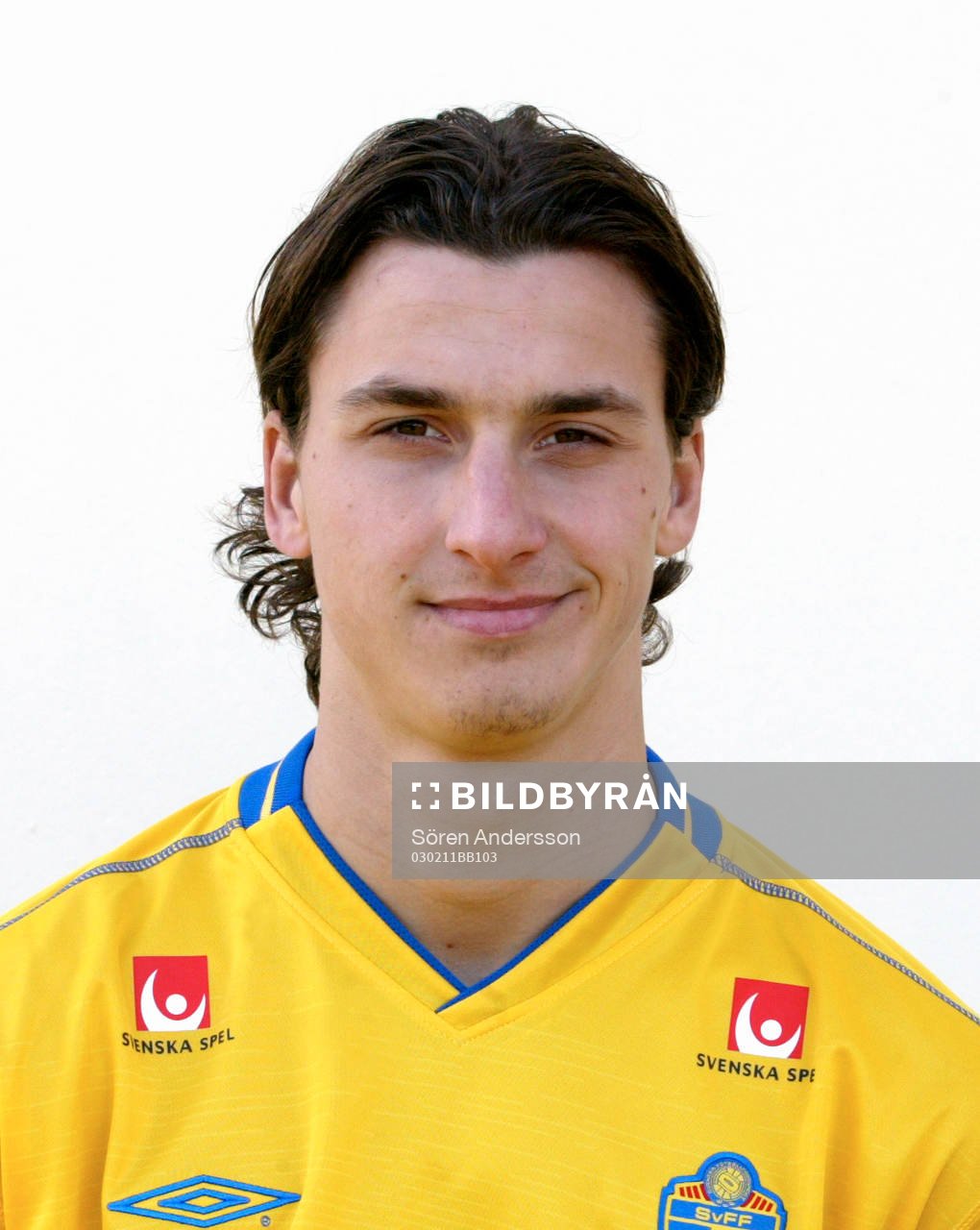 Zlatan Ibrahimovic, Sverige