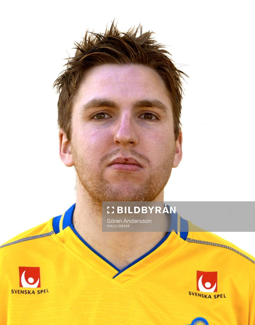 Nils-Eric Johansson, Sverige