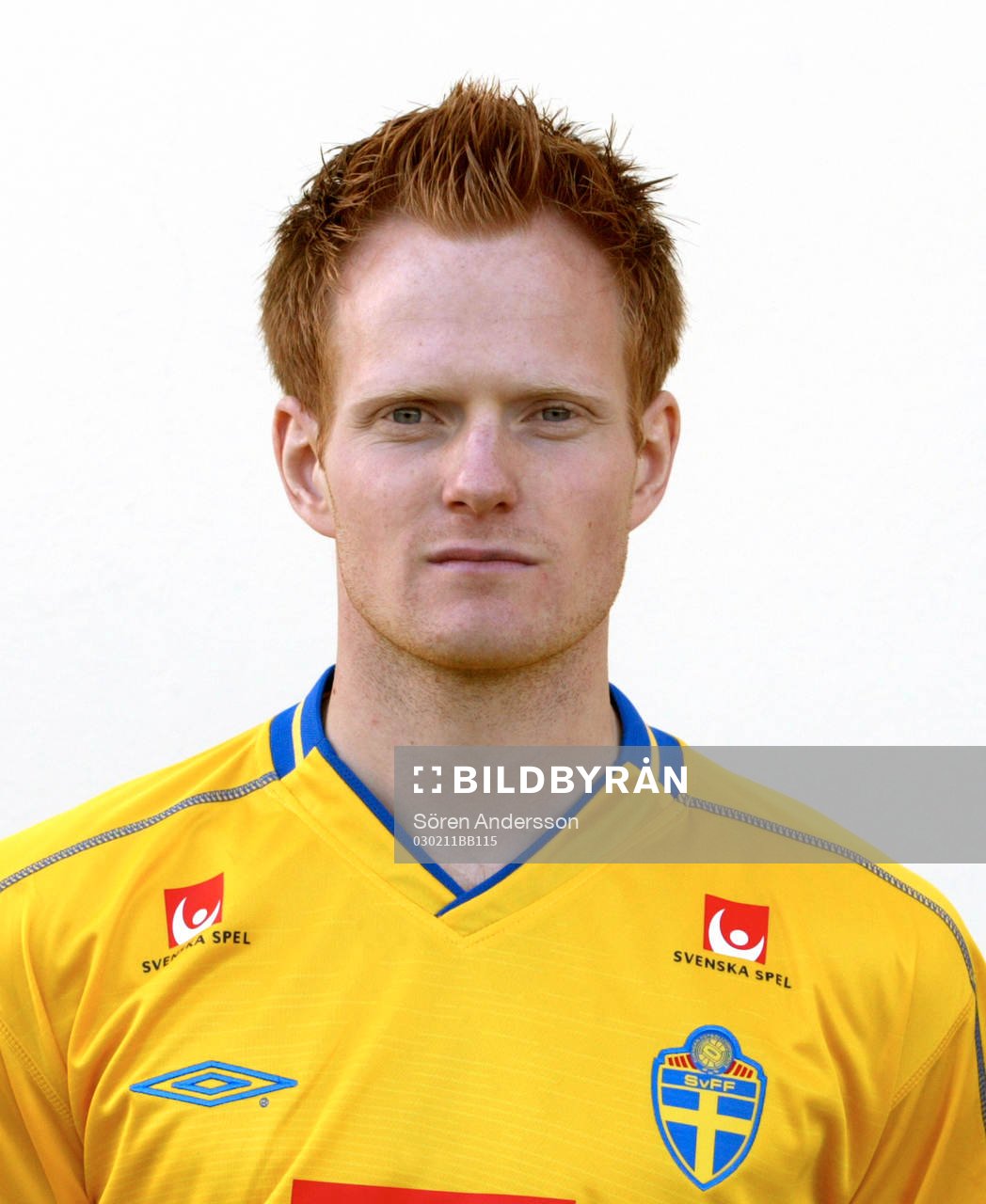 Michael Svensson, Sverige