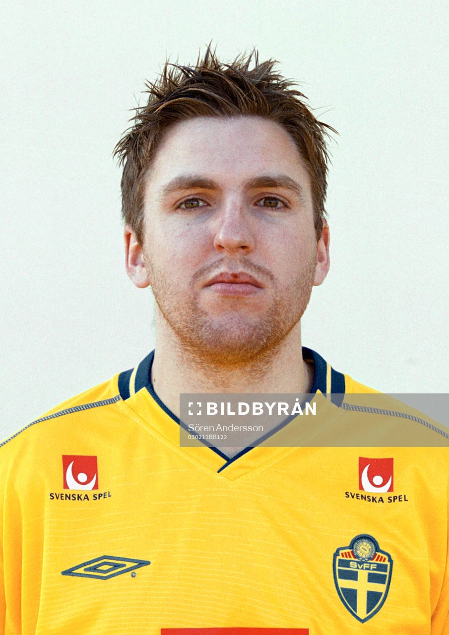 Nils-Eric Johansson, Sverige