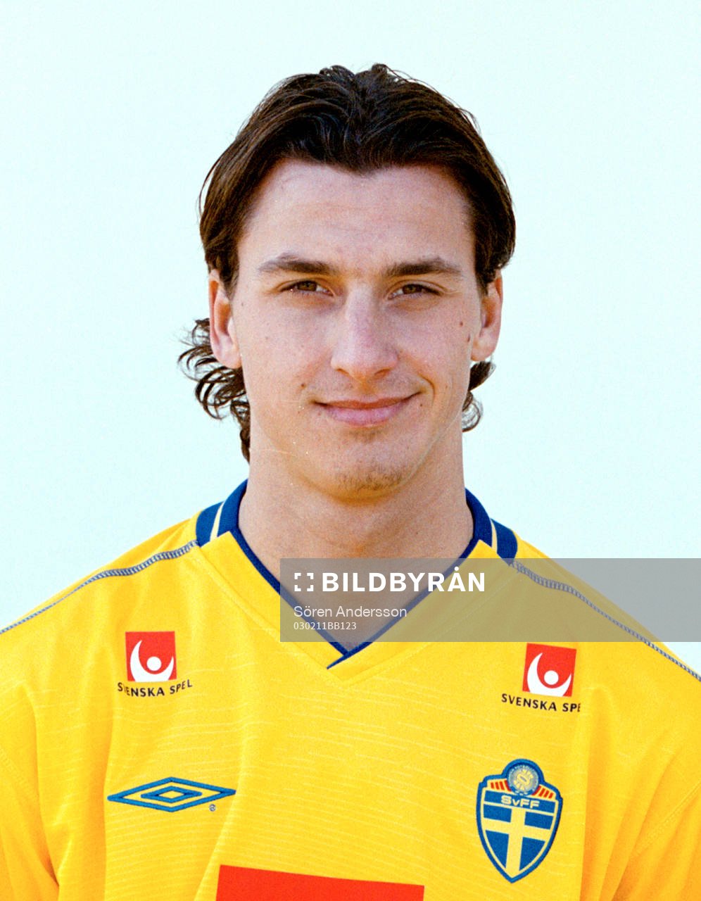 Zlatan Ibrahimovic, Sverige
