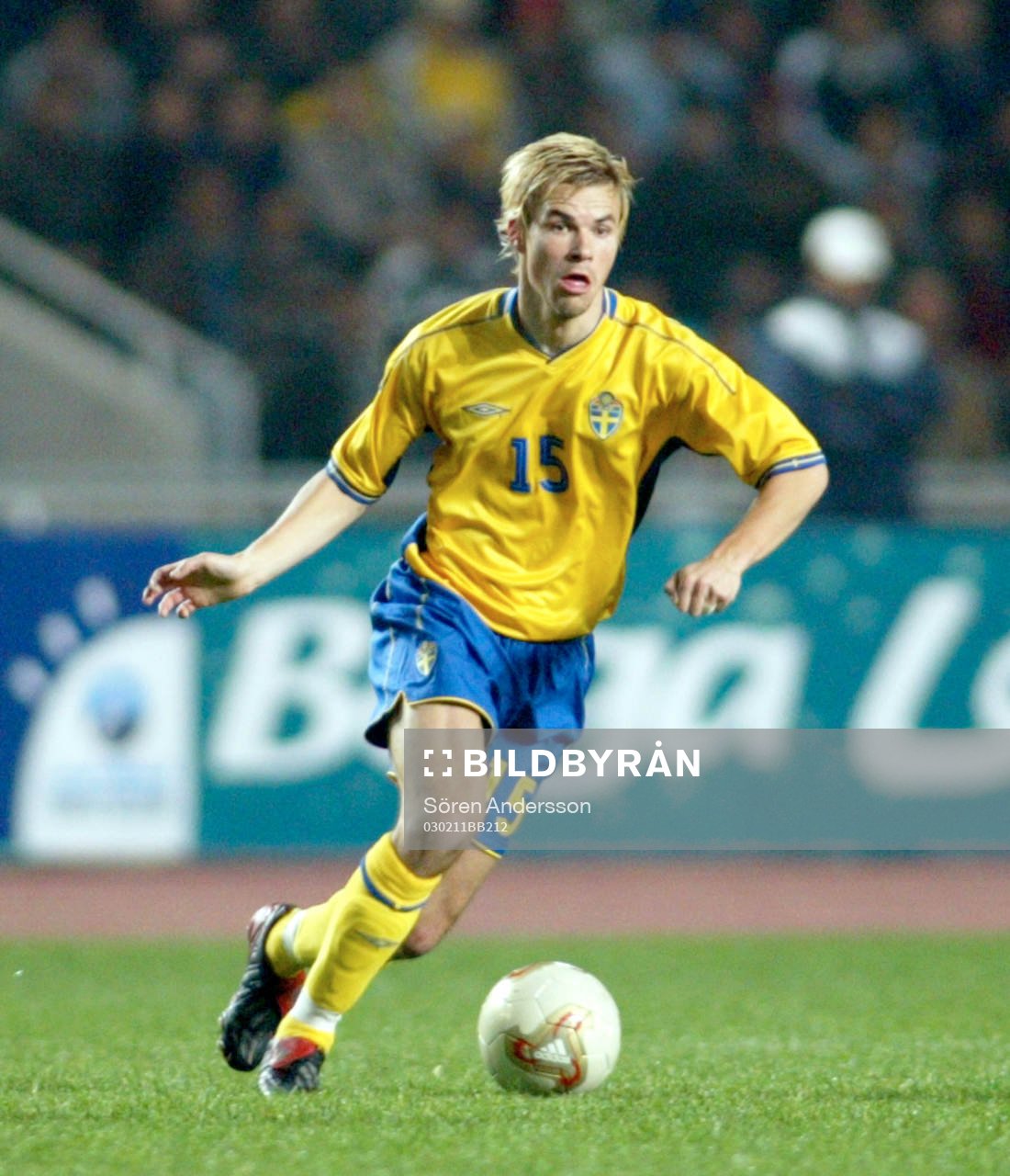 Niclas Alexandersson, Sverige