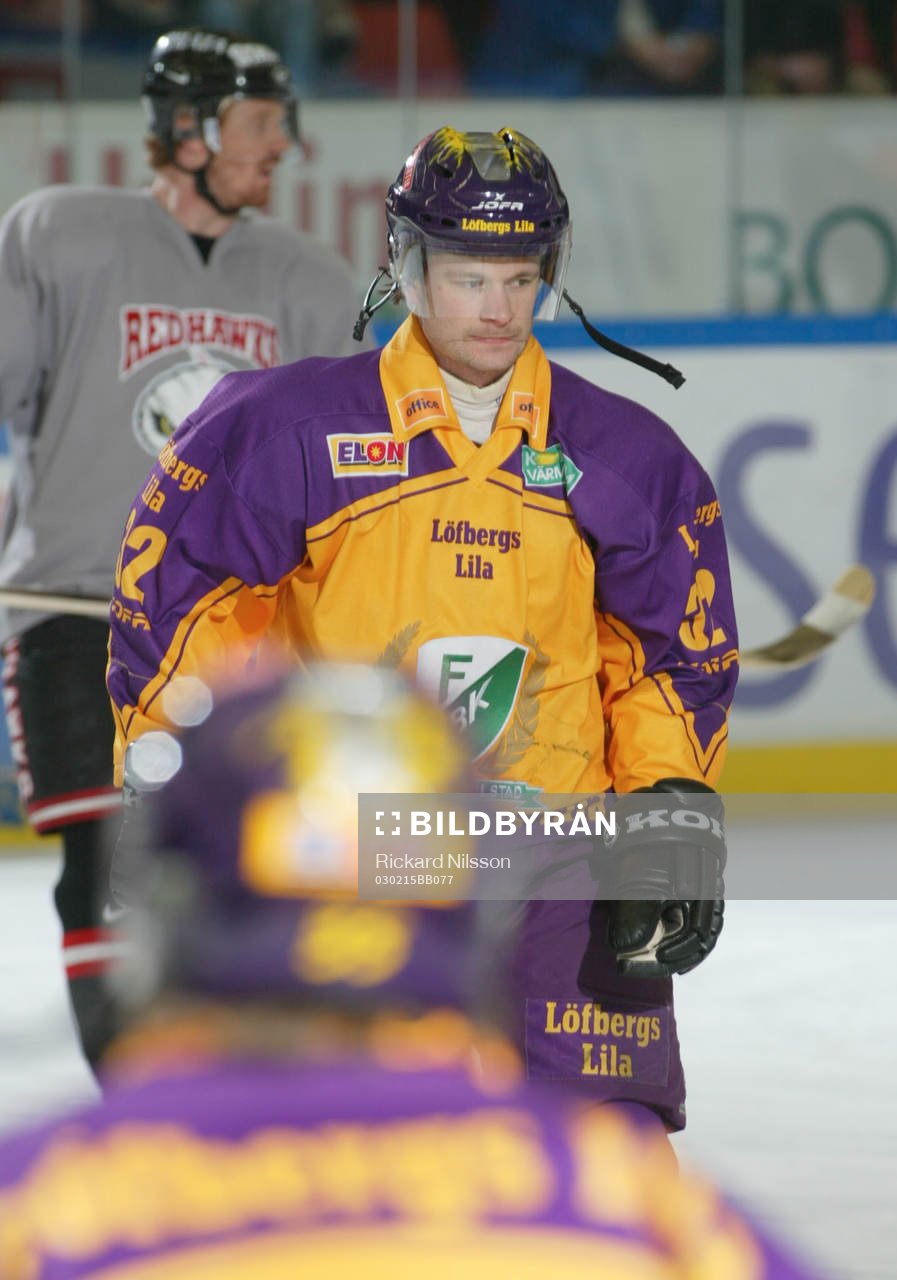 Radek Hamr, Färjestad