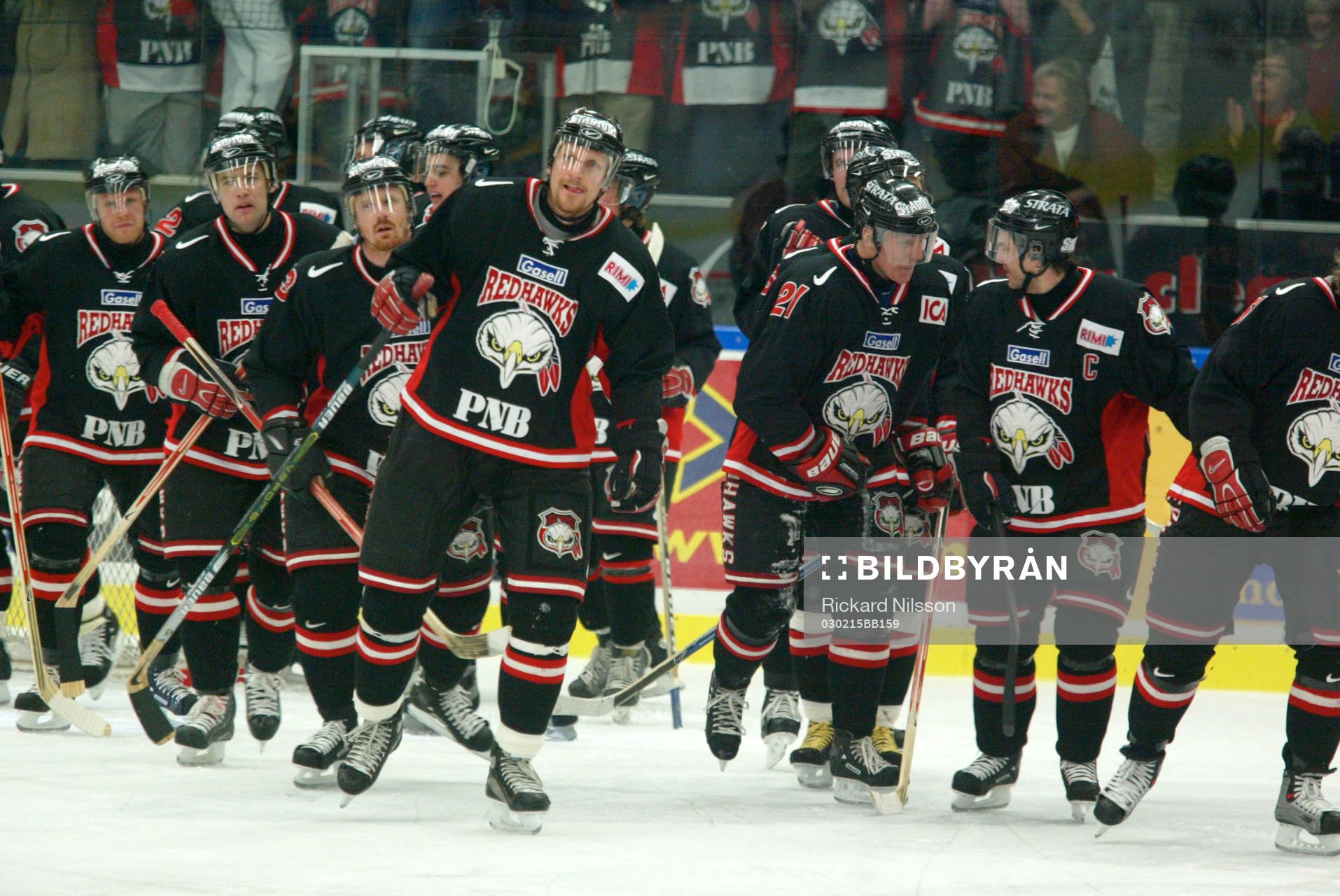 Ishockey, Elitserien, Malmö, jubel