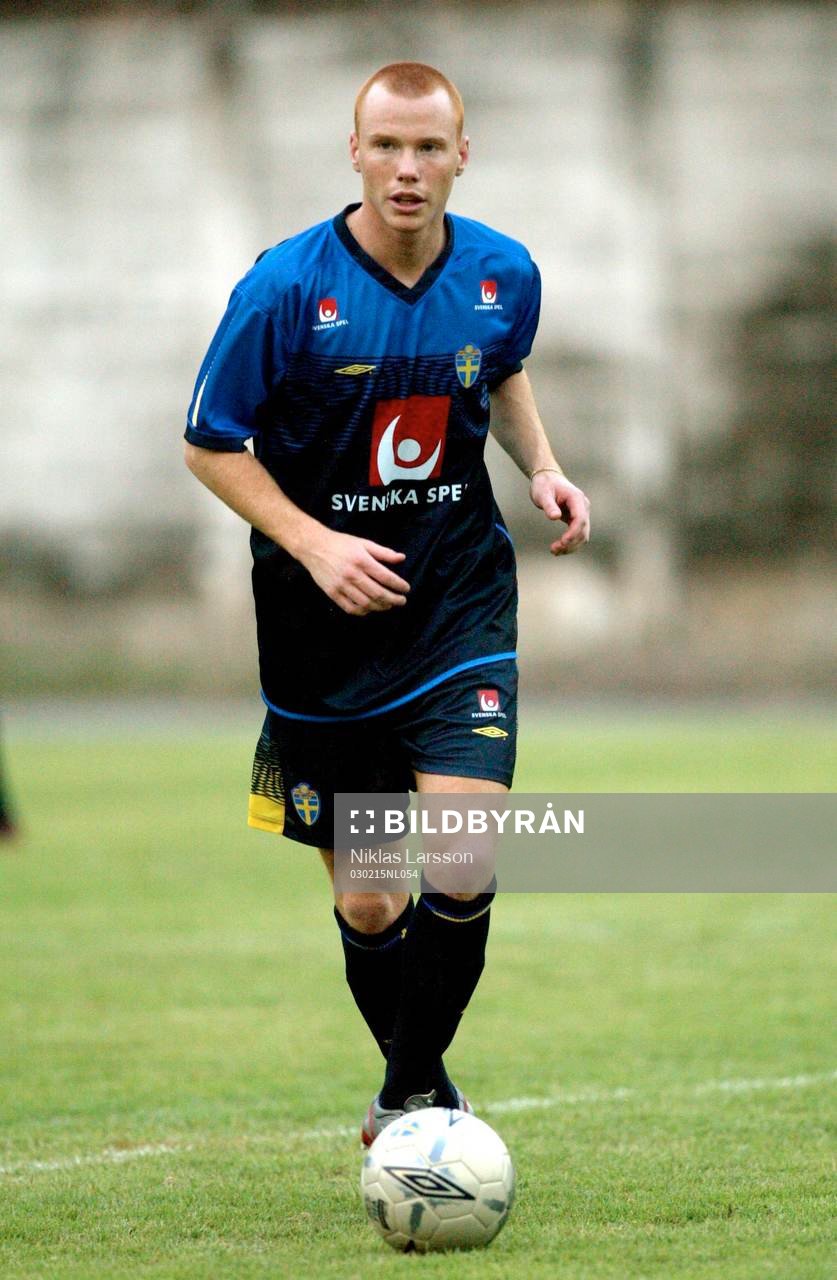 Alexander Farnerud, Sverige