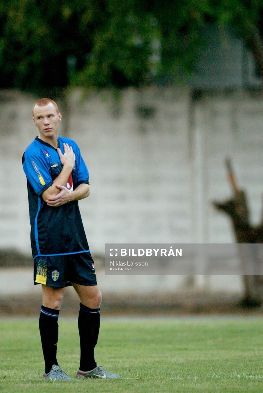 Alexander Farnerud, Sverige