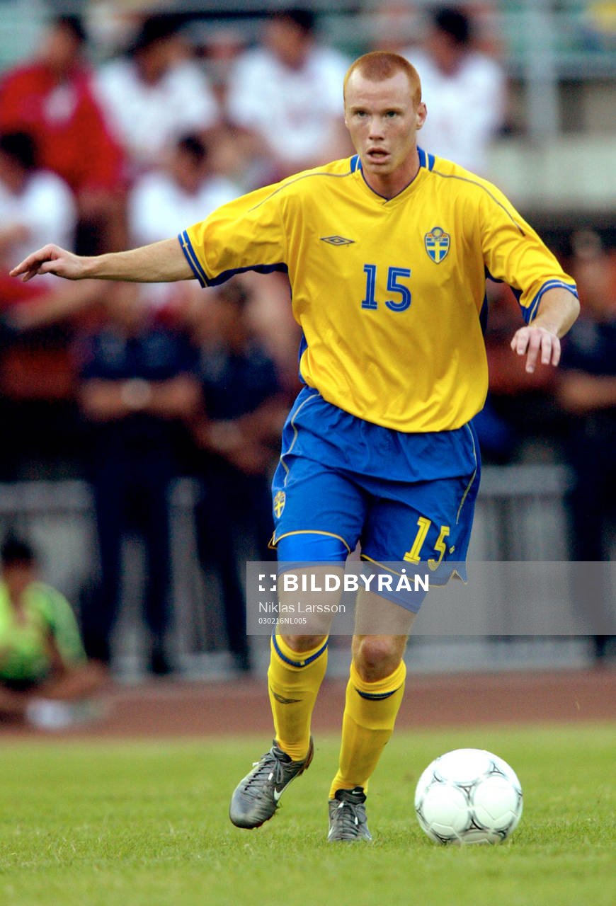 Alexander Farnerud, Sverige