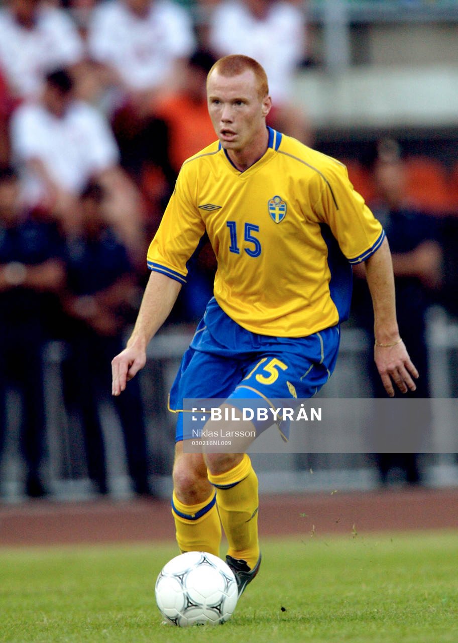 Alexander Farnerud, Sverige