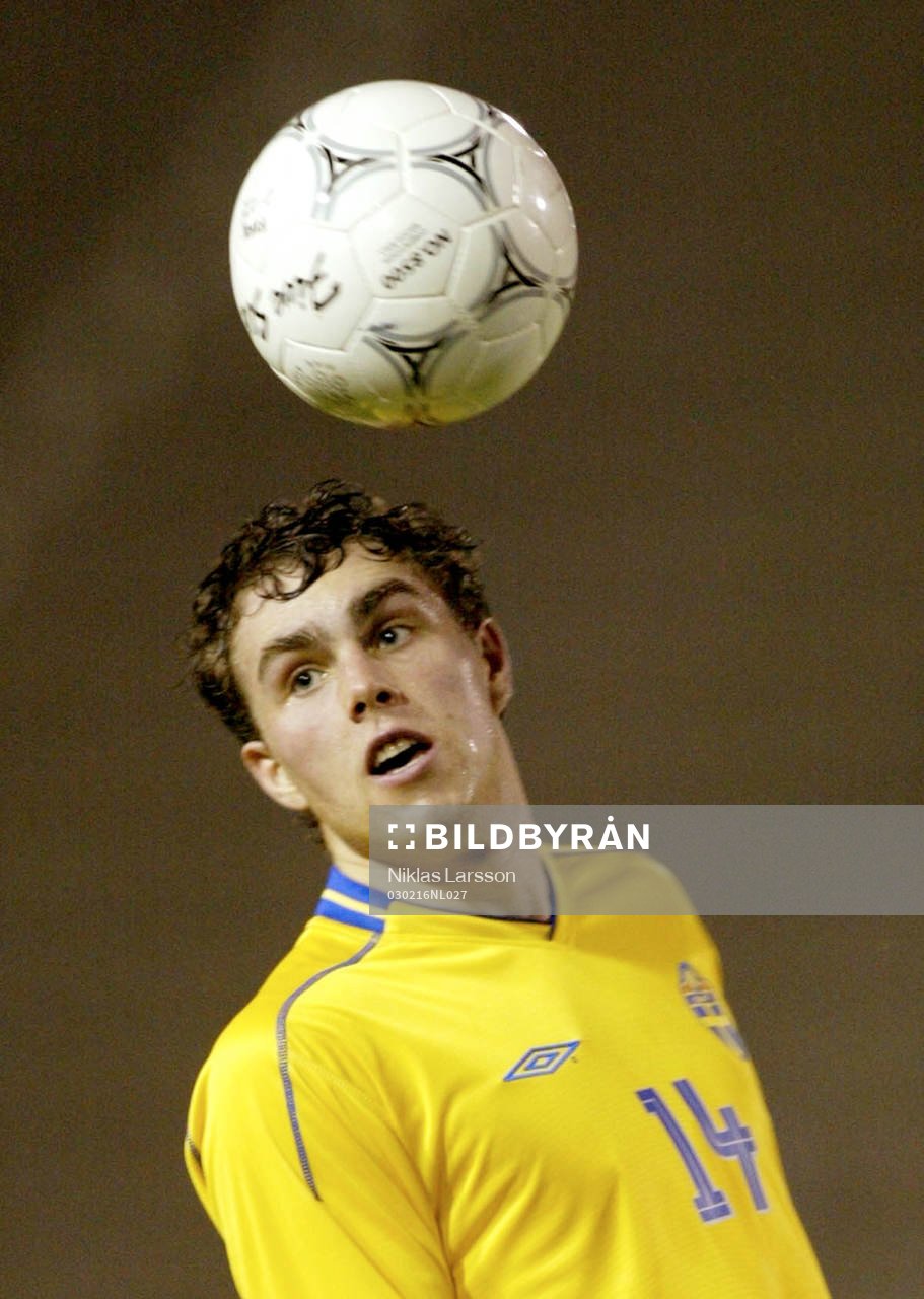 Johan Elmander, Sverige