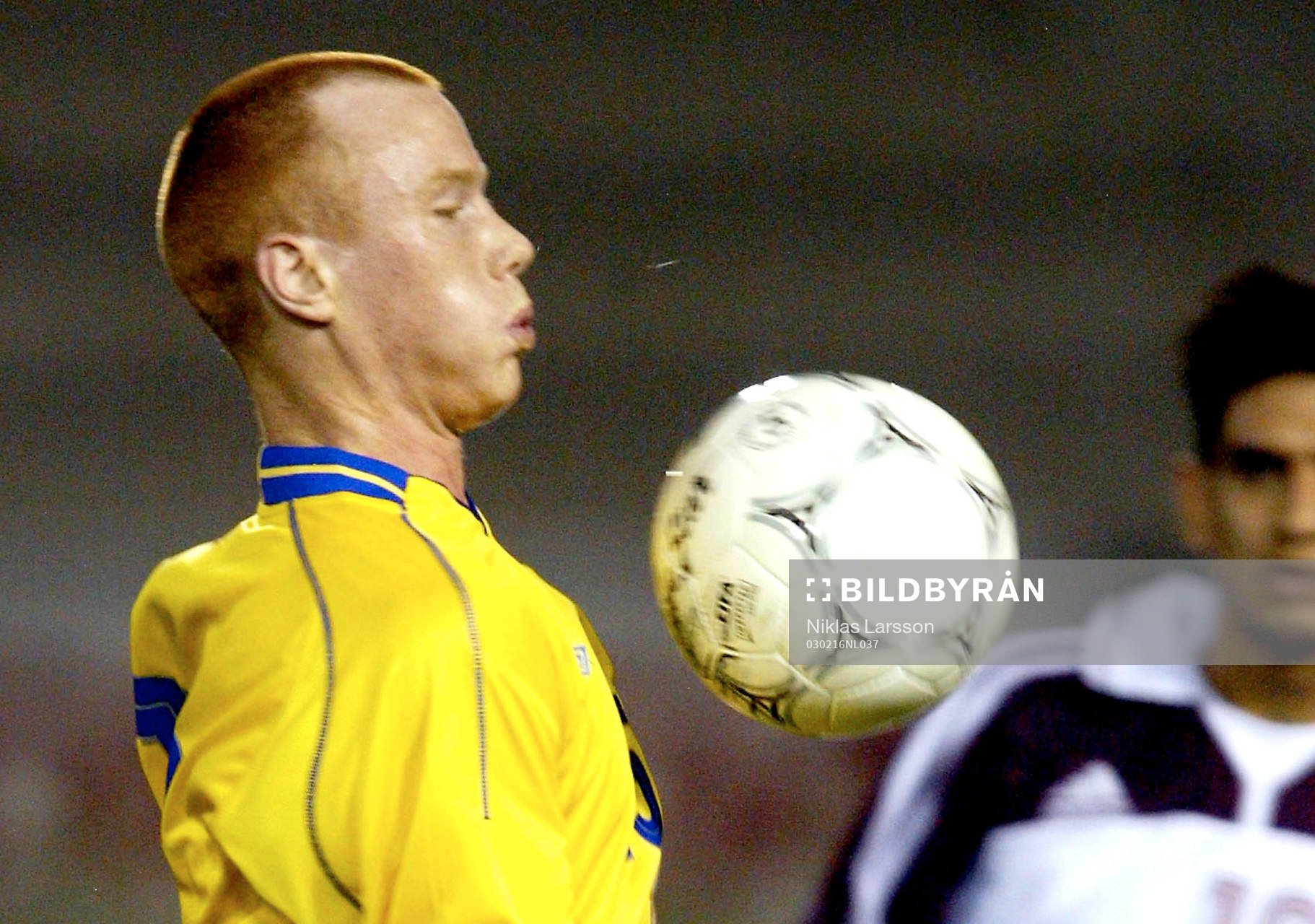 Alexander Farnerud, Sverige