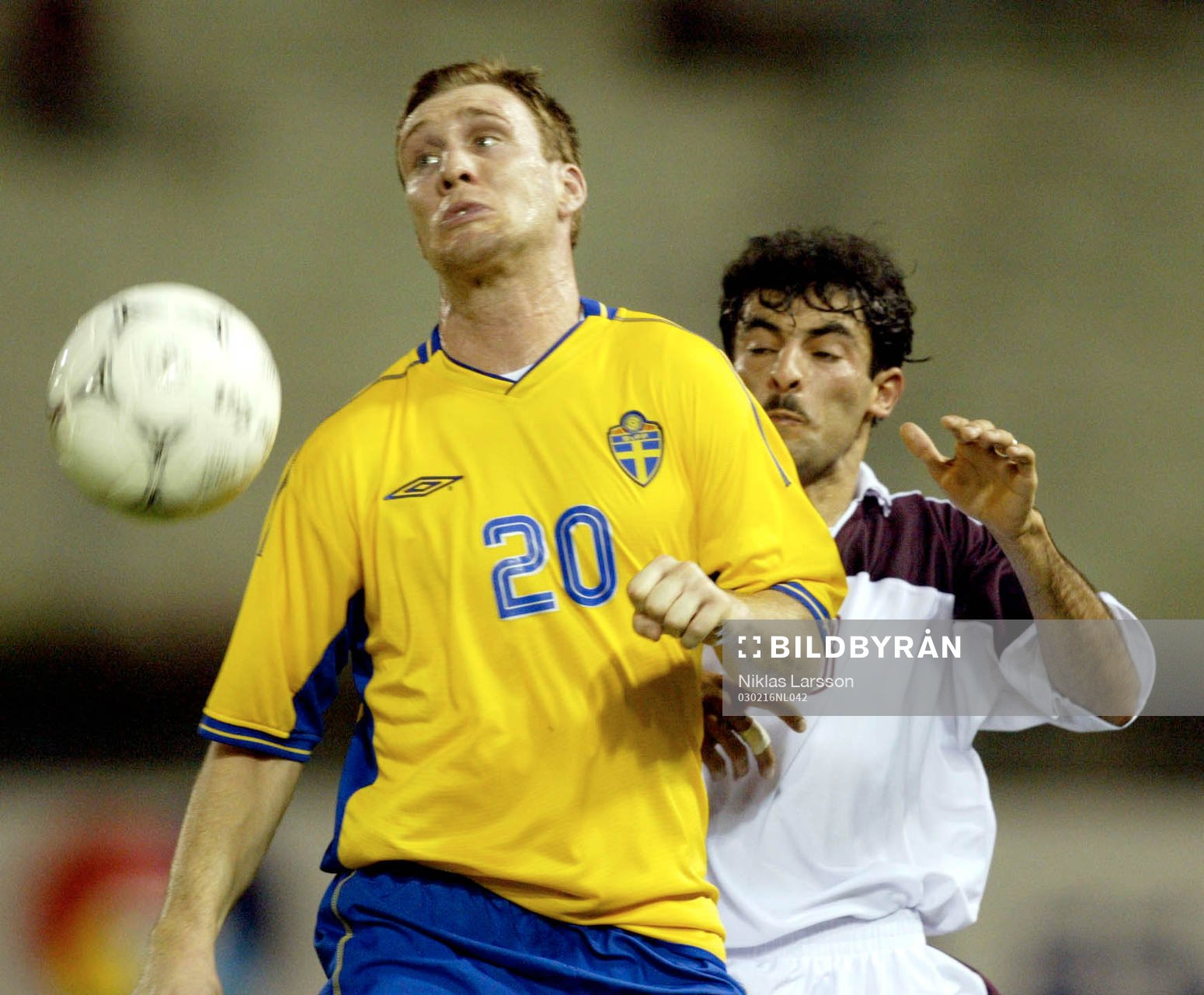 Niklas Skoog, Sverige