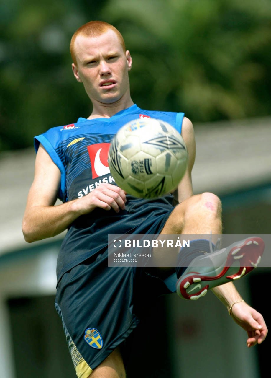 Alexander Farnerud, Sverige