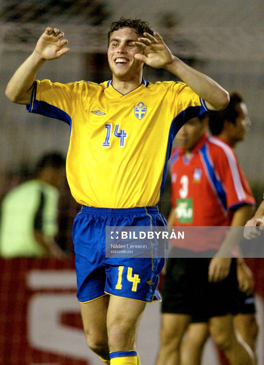 Johan Elmander, Sverige jublar