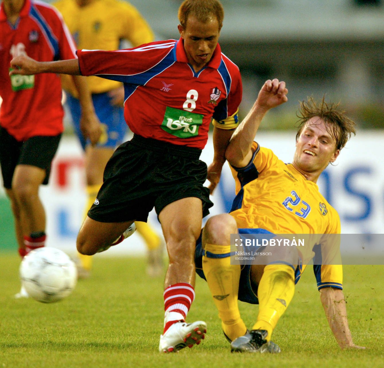 Markus Johannesson, Sverige