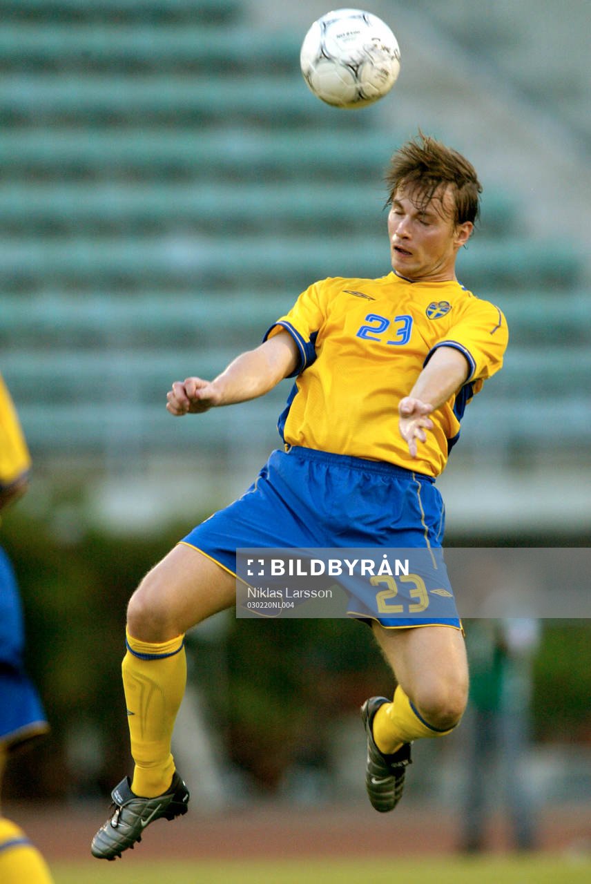 Markus Johannesson, Sverige