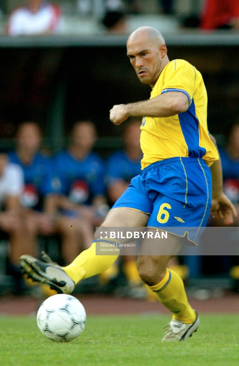 Danijel Majstorovic, Sverige