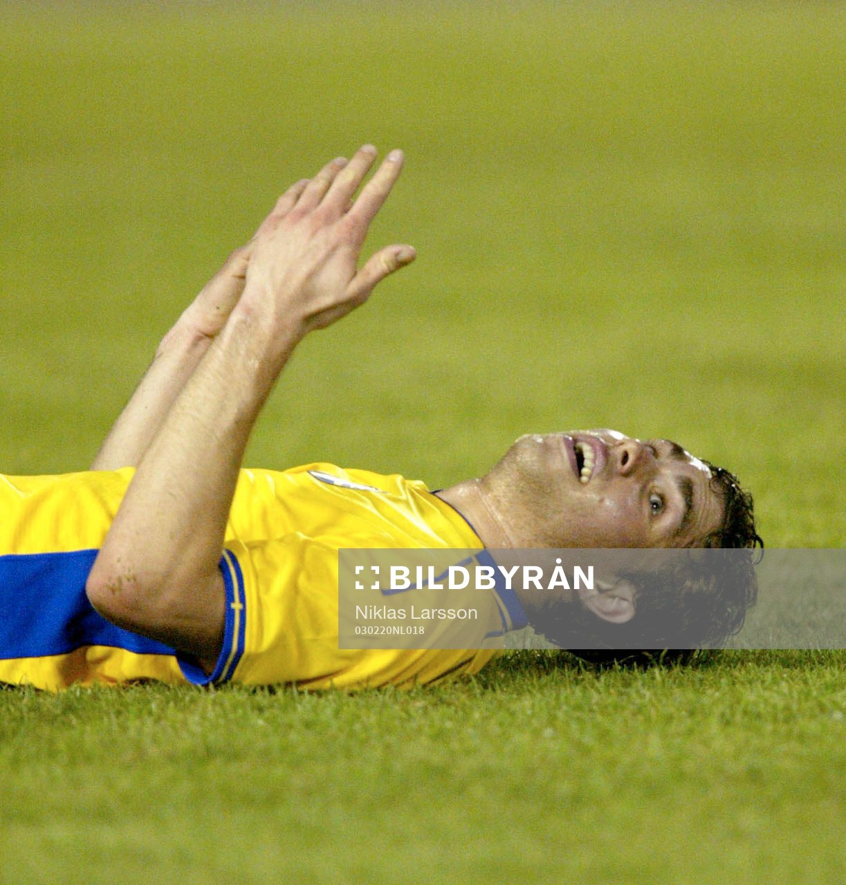 Johan Elmander, Sverige