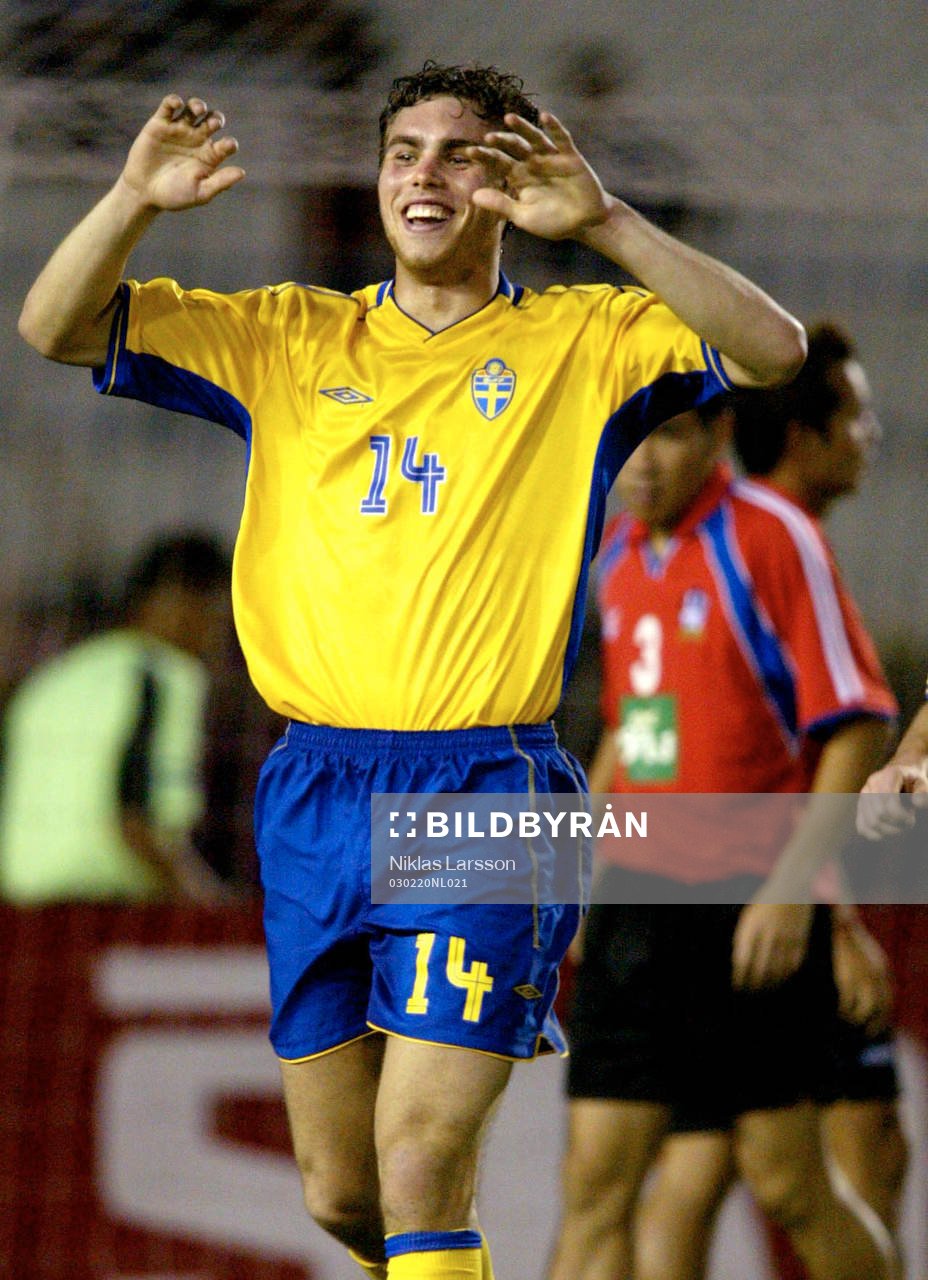 Johan Elmander, Sverige, jubel