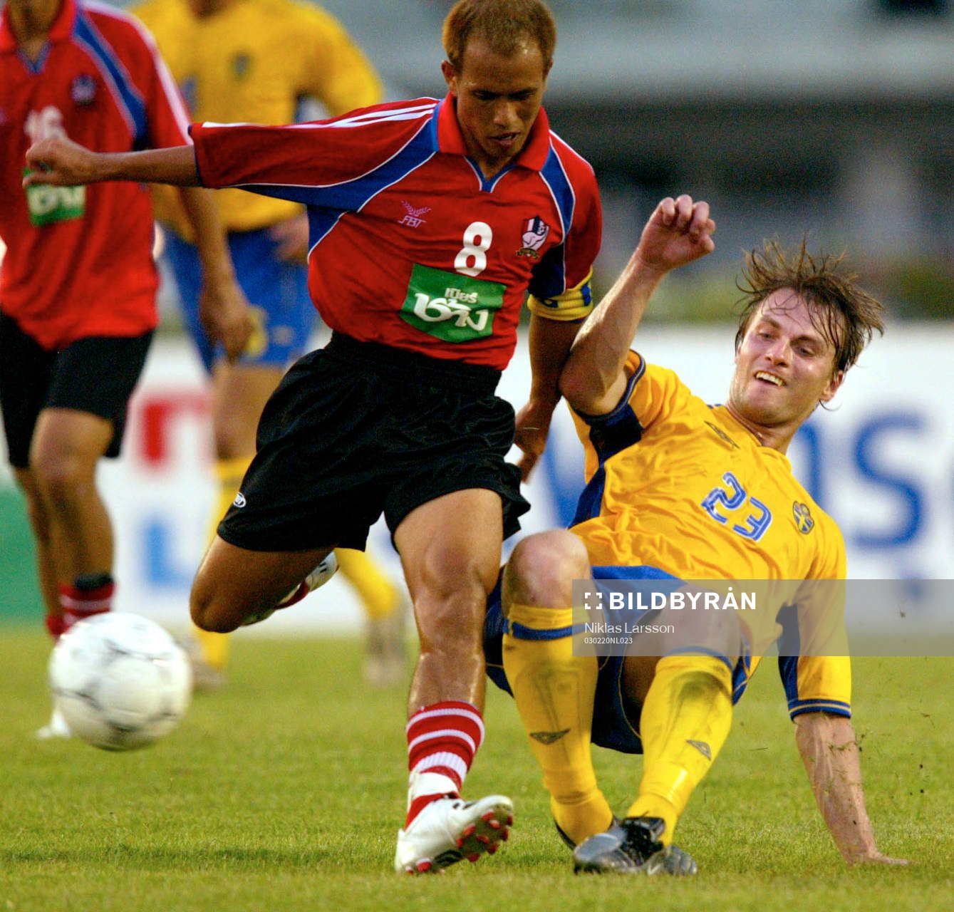Markus Johannesson, Sverige