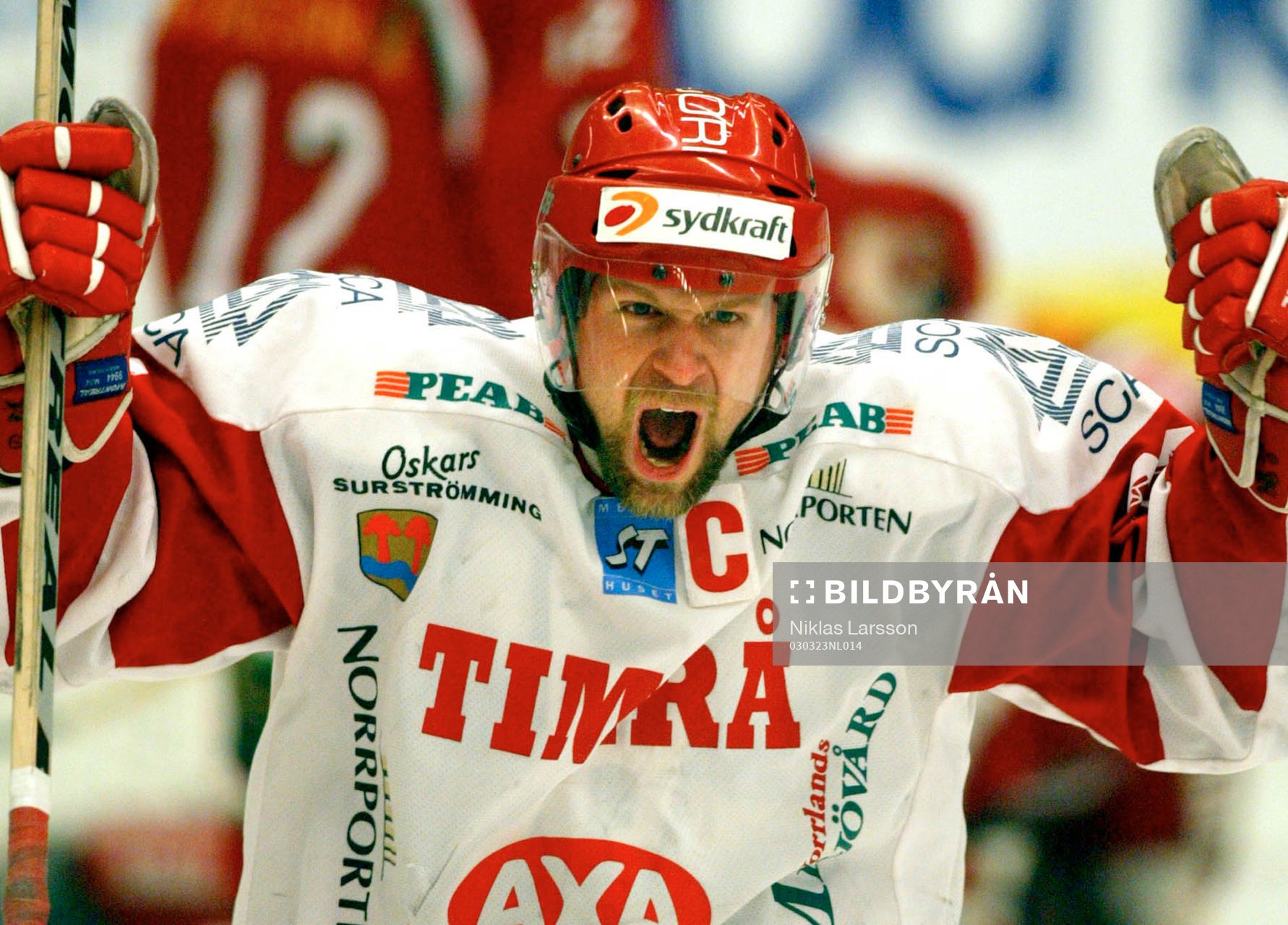 Markus Åkerblom, Timrå jublar