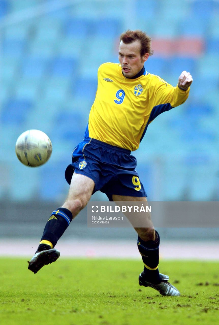 Fredrik Ljungberg, Sverige