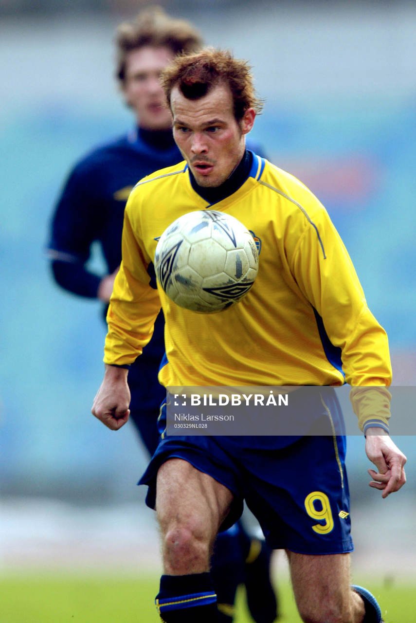 Fredrik Ljungberg, Sverige