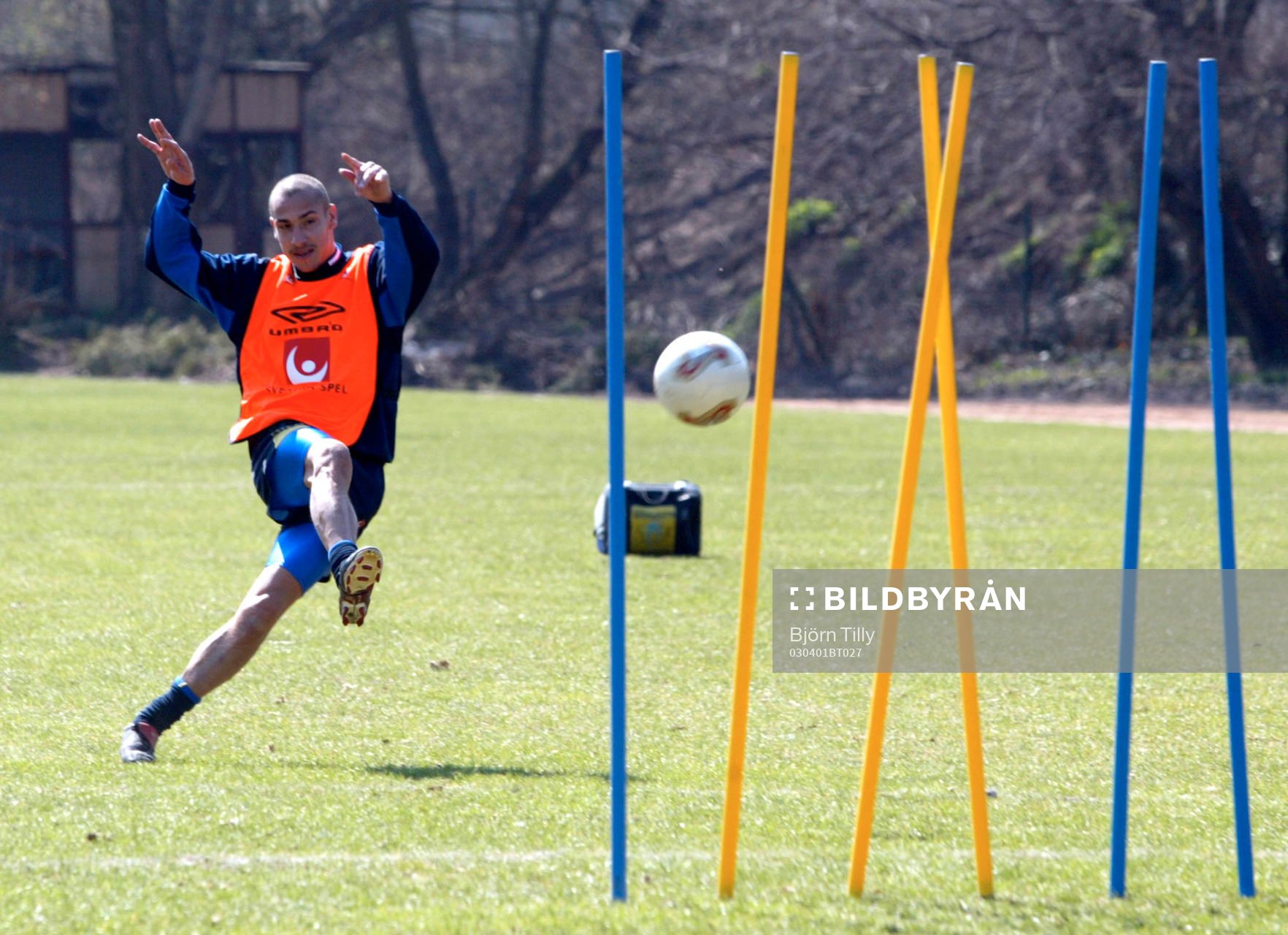 Henrik Larsson, Sverige