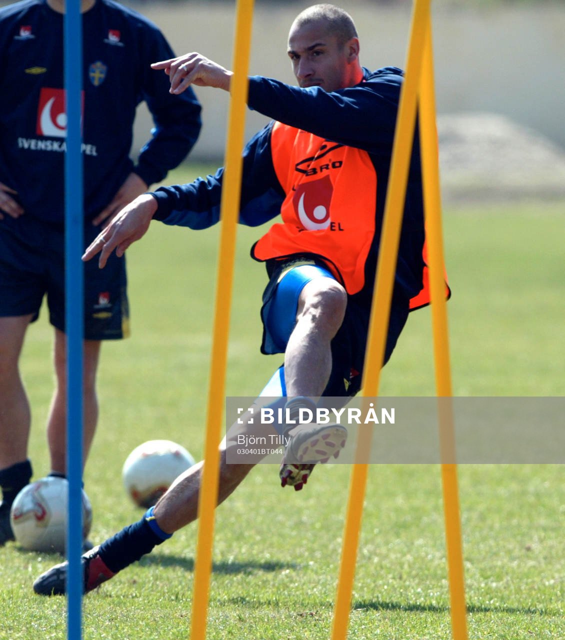 Henrik Larsson, Sverige