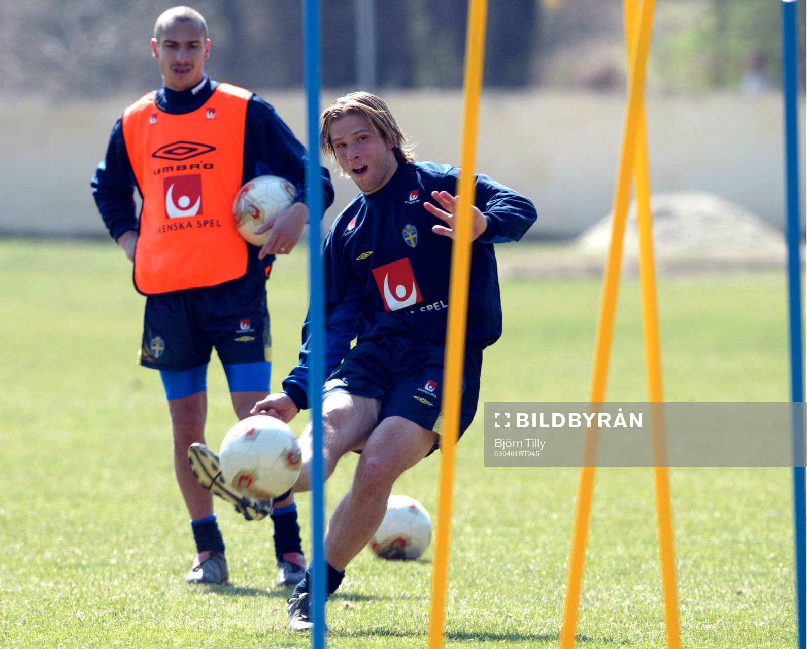 Henrik Larsson och Anders Svensson, Sverige
