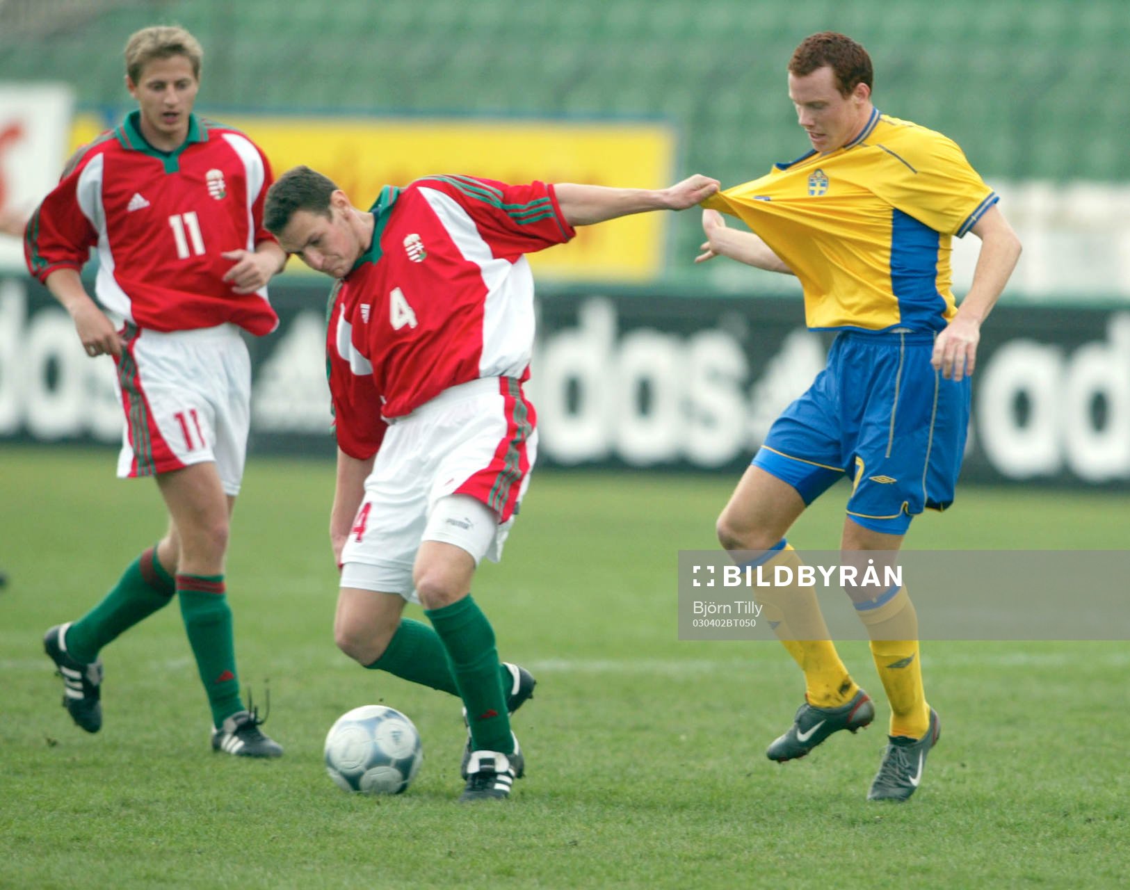 Alexander Farnerud, Sverige